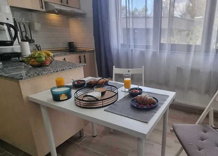 דירה Fundeni Hospital - Kitchen, Terrace & Parking