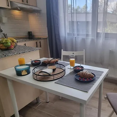 Apartment Fundeni Hospital - Kitchen, Terrace & Parking