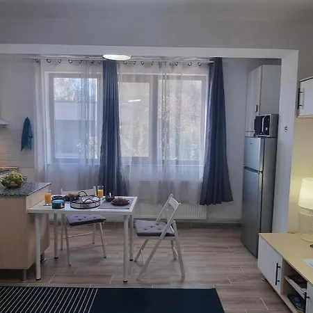 아파트 Fundeni Hospital - Kitchen, Terrace & Parking